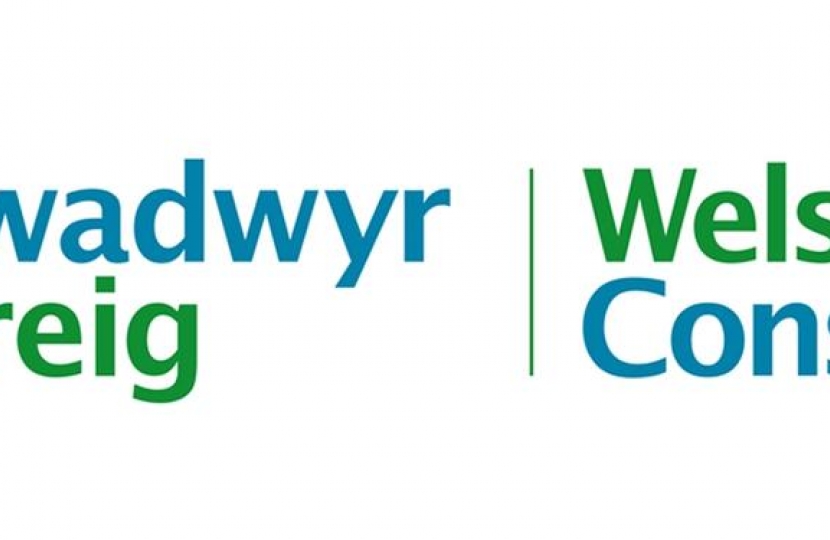 Welsh Logo