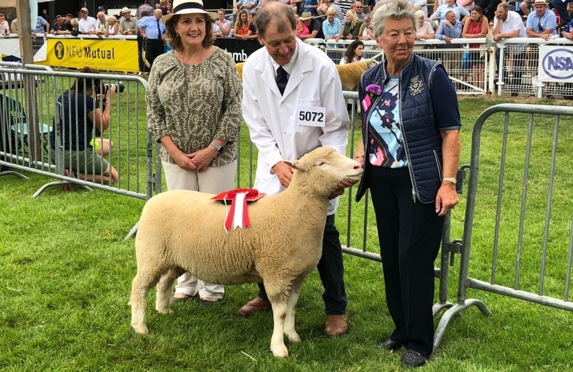 Janet at royal welsh show