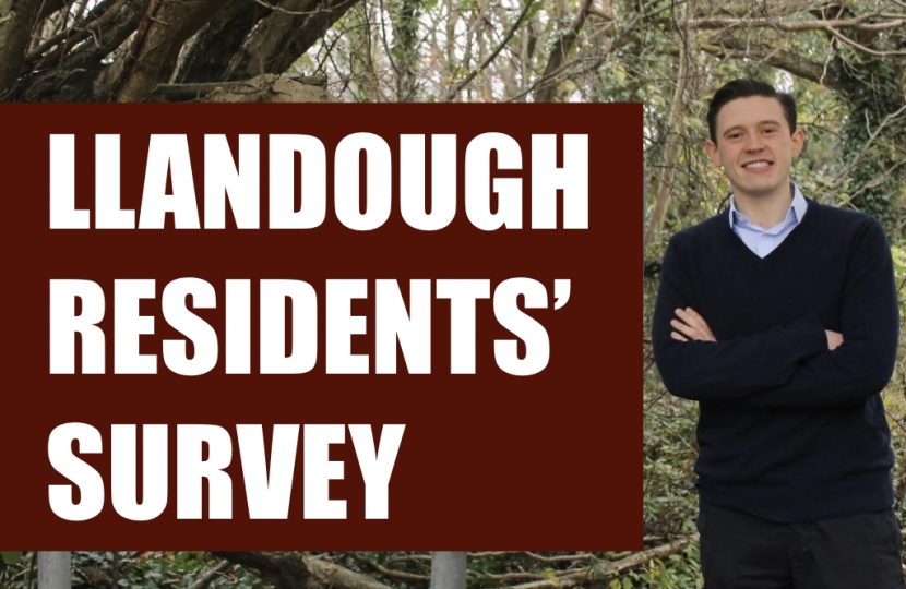 Llandough Survey Template 